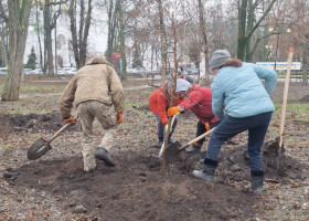 Нові дерева в парку "Перемога"
