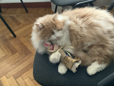 Відроджені традиції