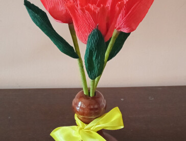 Тюльпани на подарунок