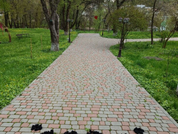 Флешмоб «Квітка пам’яті», присвячений 40-м роковинам Чорнобильської катастрофи