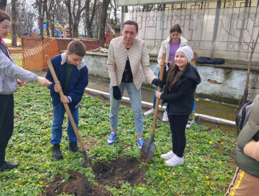 Дерева турботи у парку «Перемога»