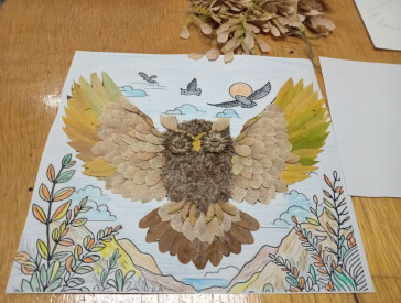 Сова – чарівна птаха з казки