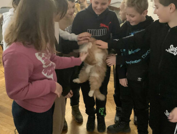 Щасливі історії котів музею Короленка