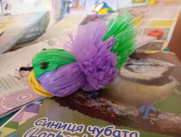 1 квітня: Міжнародний день птахів