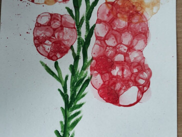 Арттерапія та бульбашки: творче натхнення у Музеї В.Г.Короленка