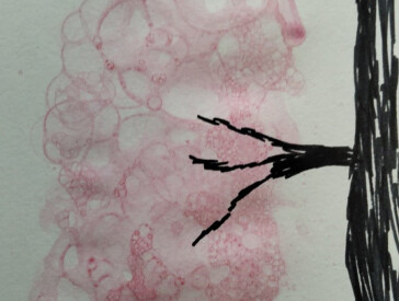 Арттерапія та бульбашки: творче натхнення у Музеї В.Г.Короленка