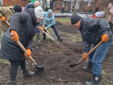 Нові дерева в парку "Перемога"