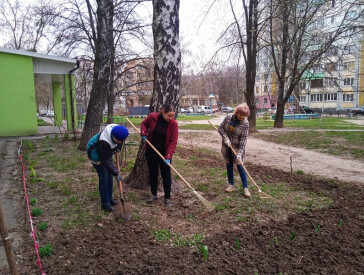 Весняна толока 2024