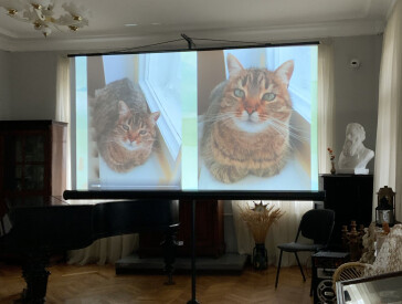 Щасливі історії котів музею Короленка