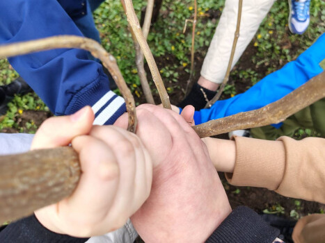 Дерева турботи у парку «Перемога»