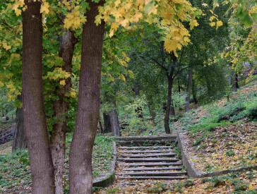 Осінь у парку «Перемога»