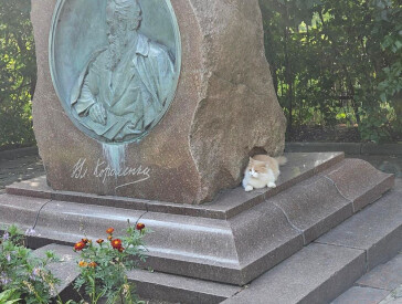 Спільно заради чистоти: колектив музею В.Г.Короленка долучився до Всесвітнього дня прибирання