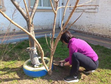 Весняне оновлення: ЦКД наводить лад!