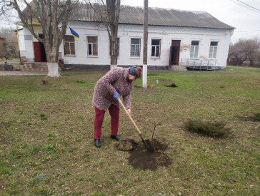 Весняне оновлення: ЦКД наводить лад!