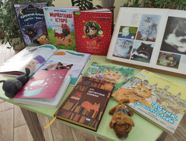 Котики-захисники