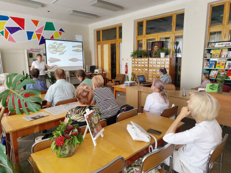 Гривня крізь століття: хроніки Української незалежності